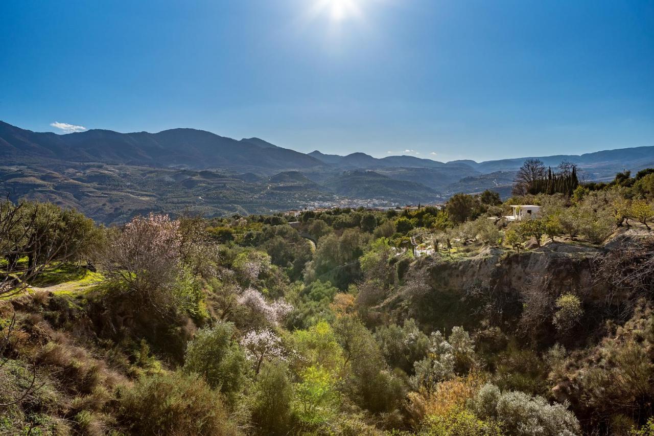 Loft A'ca La Puri En *